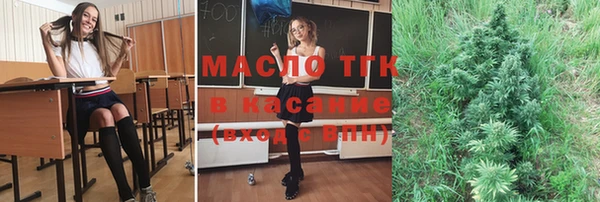 сатива Алзамай