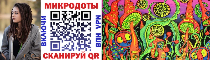 Псилоцибиновые грибы Psilocybe  где продают   кракен как зайти  Осинники 
